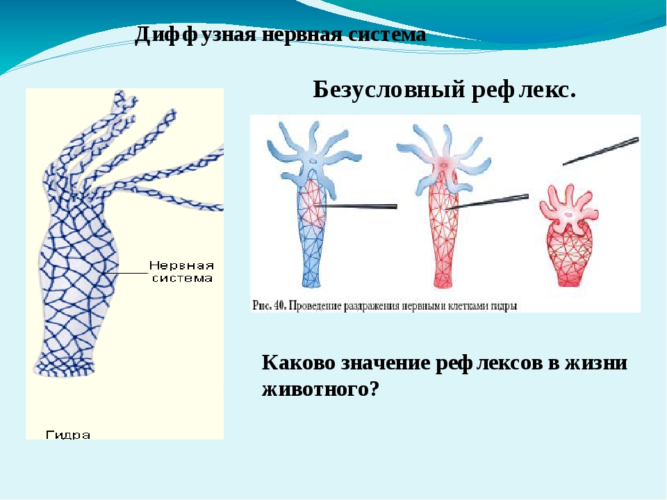 Кракен запрещенные вещества